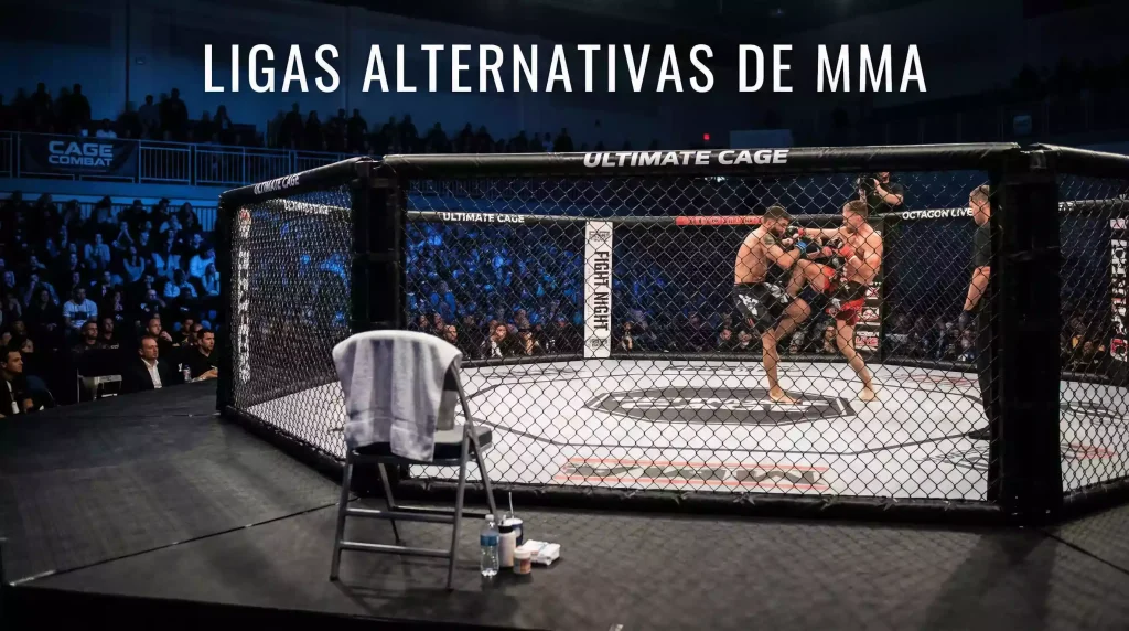 Jaula de MMA vista desde la esquina durante un combate en una liga de artes marciales mixtas