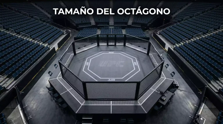 Octágono de UFC vacío visto desde arriba mostrando las dimensiones del área de combate